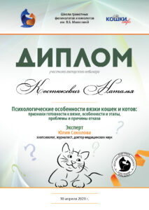 Психологические особенности вязки кошек и котов